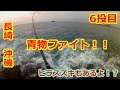 長崎沖磯 ルアー釣行 6投目 青物ファイト ヒラスズキもあるよ 　2018 9 15