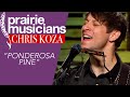 Chris Koza "Ponderosa Pine"