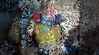 Antonia Amaral de mi Corazon la Niña de mis Ojos