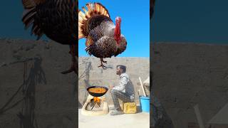 Download lagu 🕋🕌يا من صلّيتَ بكل الأنبيا يا من ألّفتَ قلوبًا بالإسلام  يا حبيبي، يا شفيعي، يا رسول الله🕋🕌 mp3