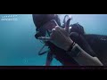 Deep Blue Sea 3 (2020) Trailer