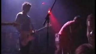 Bear vs Shark - Seven Stop Hold Restart (Live)