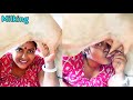 Cow Milking Village Life Vlogs