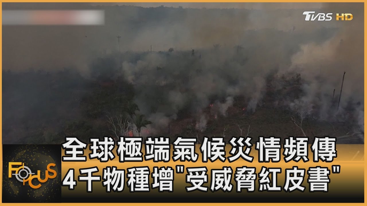 全球極端氣候災情頻傳 4千物種增「受威脅紅皮書」