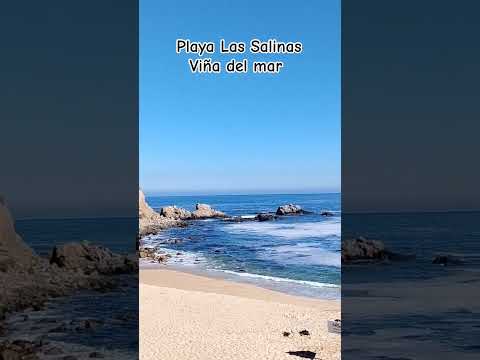 Playa las Salinas Viña del mar #airelibre #chile #valparaiso #playa #mar #salinas