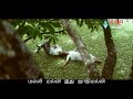 Malli Malli Idhu Jathimalli Pallavi Lyrics Ilayaraja WhatsApp Status