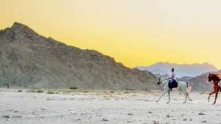 preview picture of video 'Horse Riding in Sharm el Sheikh'