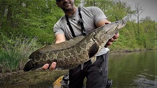1st Snakehead & Topwater Bass of the Year!!! (Spring Bass & Snakehead Fishing)