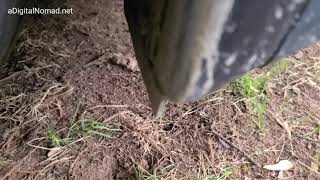 Damaged TESLA Driver Side Front Wheel Well Liner