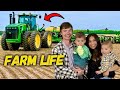 Cole The Cornstar Takes His Babies To Work FARM DAY