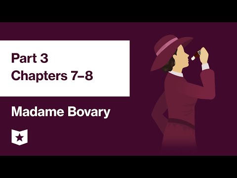 Madame bovary essay