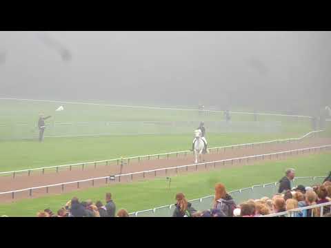 Carina Mayerhofer Piber - Frami von St. Oswald