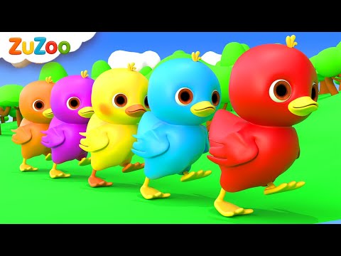Cinco Patitos (Canción para Aprender los Colores) | Canciones Infantiles | ZuZoo en Español