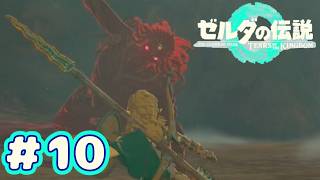 ＃１０　ラスボス感半端ないつえー奴【ゼルダの伝説～ティアーズ オブ ザ キングダム～】