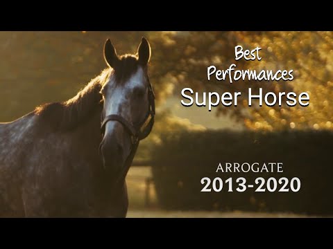 Arrogate-Tribute| Best Performances -Super Horse
