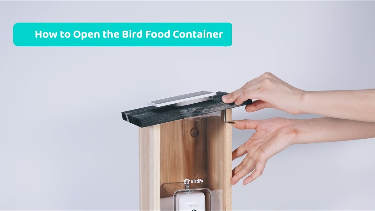 Birdfy FSC Vogelfutterhaus mit AI-Kamera