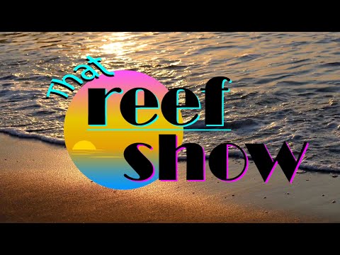 That Reef Show: Episode 01
