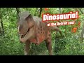 Dinosaurs Take Over The Detroit Zoo