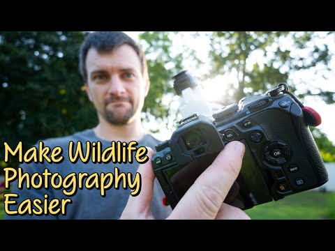 How to Customize the OM System OM-1 Mark II for bird and wildlife photography | Settings | Tips