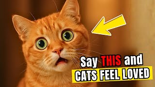 6 Words That Make Your Cat Know You Love Them (Instantly!)