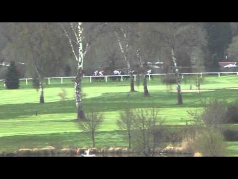 KV, 25. 4. 2015, 2. dostih - Dostih ORDER OF INNOCENCE - ORDER OF INNOCENCE Rennen