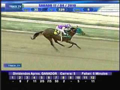 Resumen sábado 17 de abril 2010 - La Rinconada