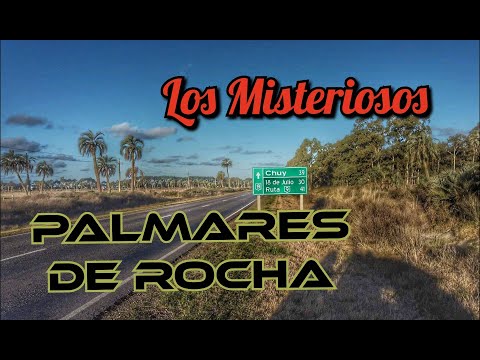 Llegamos a los MISTERIOSOS PALMARES de ROCHA - URUGUAY