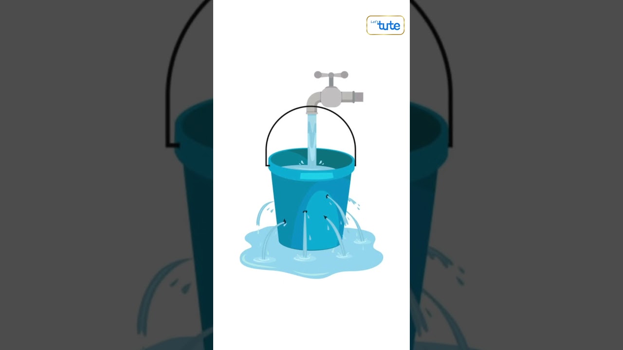 Water resources | It's importance and impacts on environment | letstute  #shorts