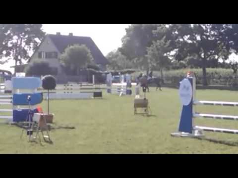 Holsteiner Stute Cornaoma v. Cormint  *2010