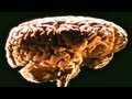 Naked Science - Telepathy - YouTube