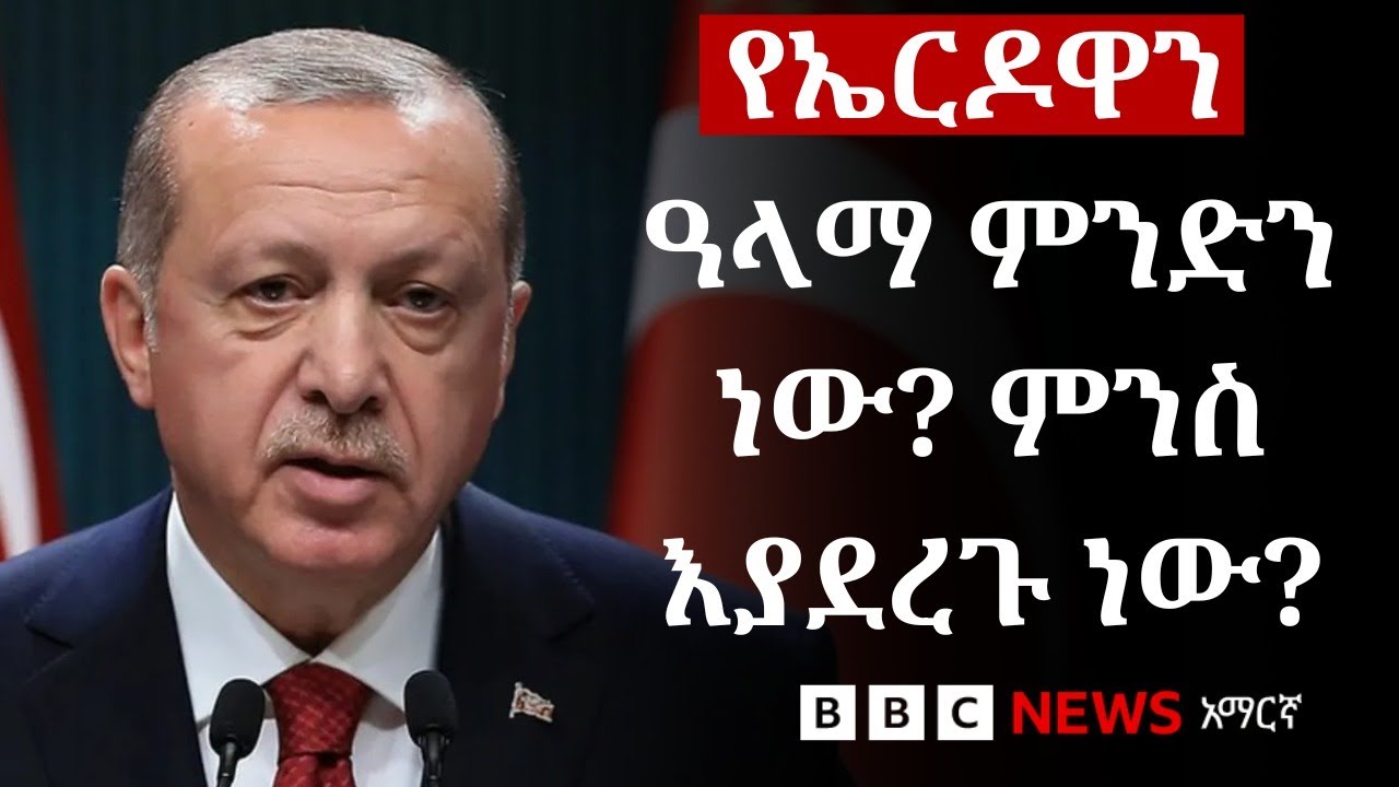 ቱርክን ወደ ኦቶማን ዘመን ዝናዋ ለመመለስ የሚጥሩት ኤርዶዋን ምን እያደረጉ ነው? | BBC Ne