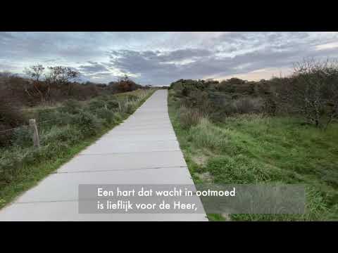 Gezang 126 Liedboek voor de Kerken Verwacht de komst des Heeren