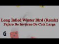 Paul McCartney ft. Idris Elba - Long Tailed Winter Bird (Idris Elba Remix) (With Lyrics/Con Letra)