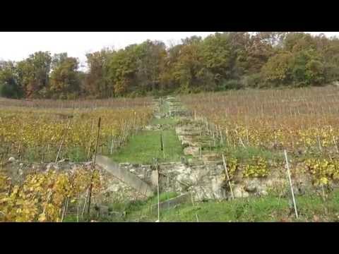Standseilbahn 1803.02 Chardonne - Les Bedaules - Ouest Bergfahrt - Telefuni