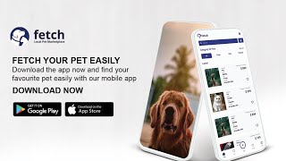 Fetch Local Petfinder app - V3 Seller Dashboard to BUY/SELL or ADOPT Pets near you. DOG & Cat Videos