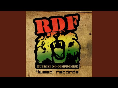 Dub Fanatics (Remix)