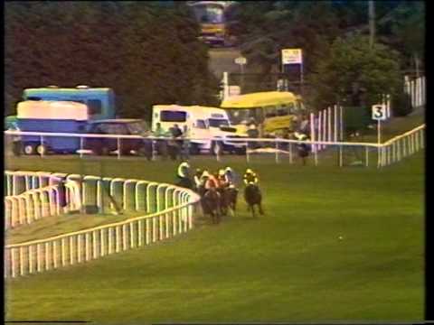 1990 St James's Palace Stakes