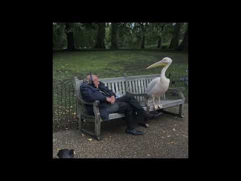 be the best version of yourself