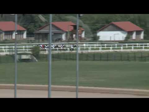 2017.08.27. 1. futam - ITALIAN STALLION HENDIKEP (V.o.) (szintetikus pálya)