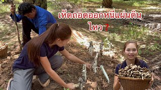 โชคดี2เด้ง🎉เจอหมู่ที่2มีน้องอิ๋วคนสวยเก็บให้ด้วยโพนมือเเตก🎉🎉🎉