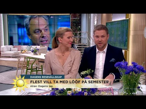 Politikerna programledarna helst vill semestra med - Nyhetsmorgon (TV4)