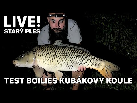 TEST BOILIES KUBÁKOVY KOULE - PRVNÍ VELKÝ AMUR A KAPR NA OBALOVANOU POP-UP !!!