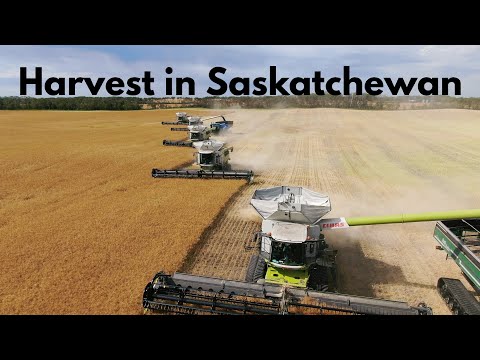 Harvest in Saskatchewan | 2020 (4K)