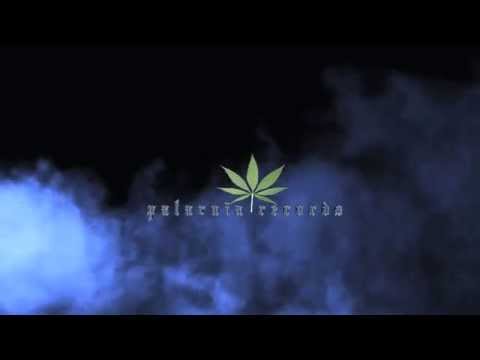 palarnia records animation