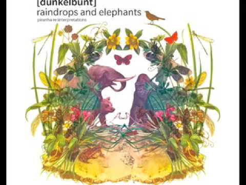 [dunkelbunt] feat Jimi D & Simentera - After The Rain - Raindrops & Elephants