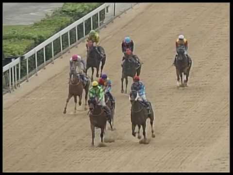 2017-04-14 Macau Meeting Race 4(0222) - THE FEI NGO SHAN