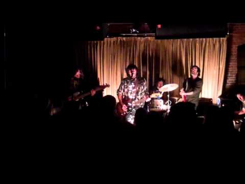 Margot and the Nuclear So & So's -- New York City Hotel Blues