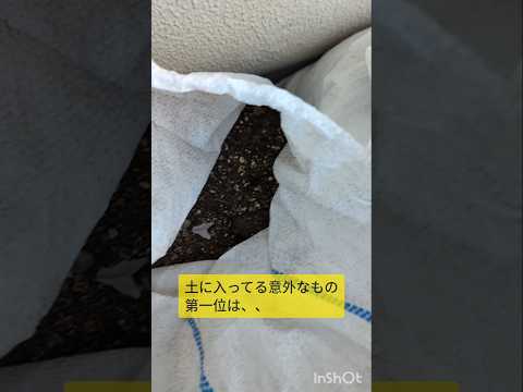 【最近の作業実績】大阪府豊中市 土回収 ビフォーアフター