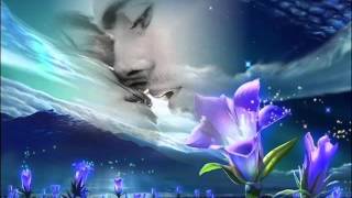 SIEMPRE CONTIGO  LUCERO  anamar argentina