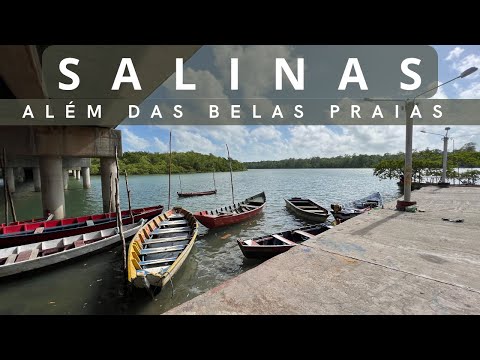 What to do in Salinópolis, with an alternative itinerary and discover the city